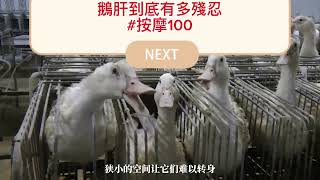 鵝肝到底有多殘忍#按摩100