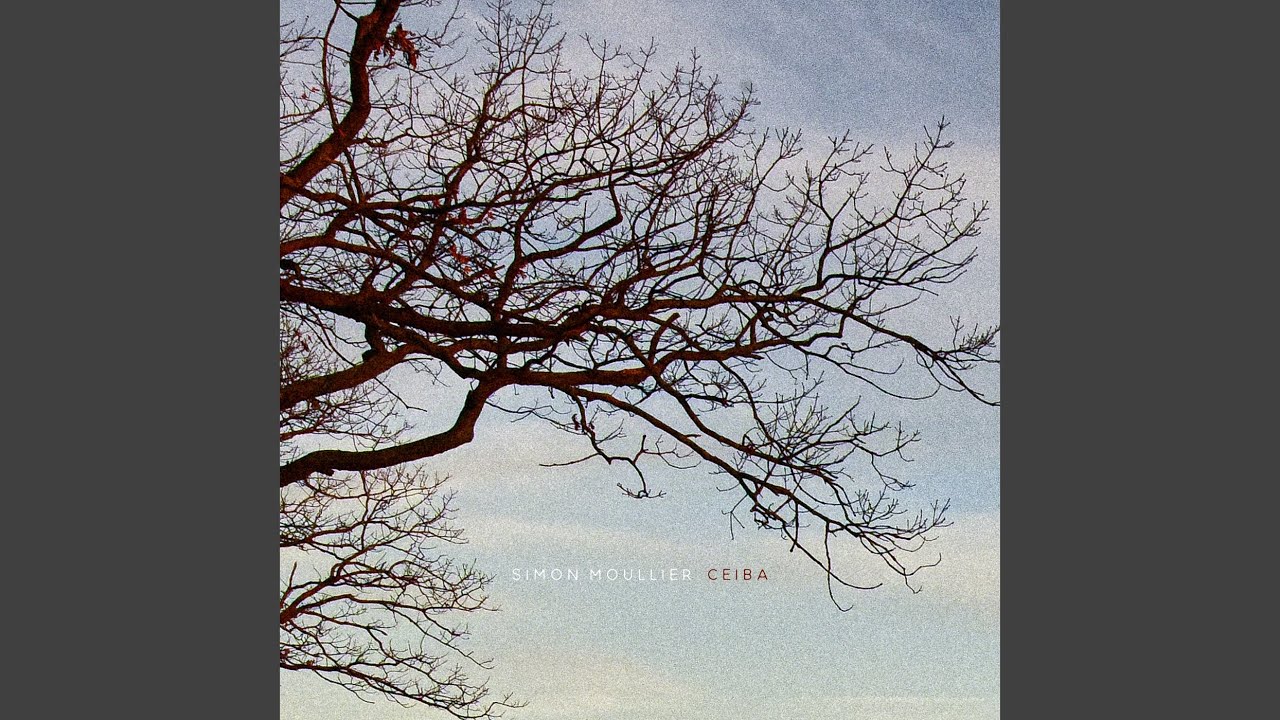 Watch Ceiba on YouTube Watch Ceiba on YouTube