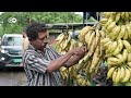 केरल में जैविक खेती में जुटे 9000 परिवार [9,000 families, 1 vision: Kerala’s garden revolution]