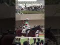 阪神競馬 パドック レミニシェンザと松山弘平騎手(9R 3歳以上2勝クラス)2022.11.20