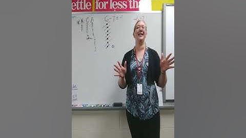 Glencoe Math Course 2 lesson 3-3