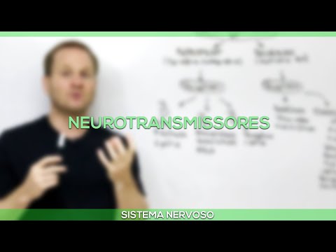 Neurotransmissores Motores