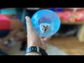 Gave the hamster a ball for a walk! You will be stunned by his reaction. 🐹