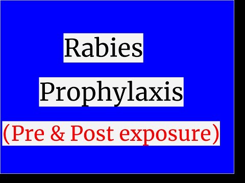 Video: Rabies Vaccine - Instructions For Use, Indications, Analogues