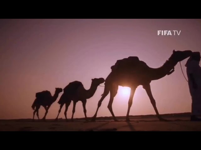 Fifaクラブワールドカップ19ハイライトor全ゴール集 Youtube