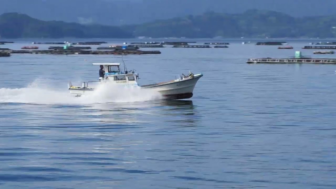 釣り用船 船外機センターコンソールボ－ト - SW580 - Qingdao Lian Ya