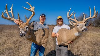 Before You Mount Your Deer, WATCH THIS!