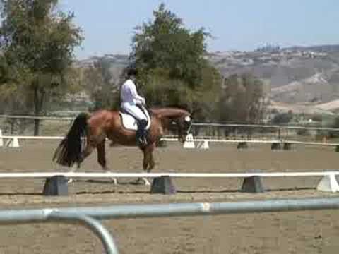 Serra 09.06.08 1st level test 3- 68.8% (KrackC x Wagner)