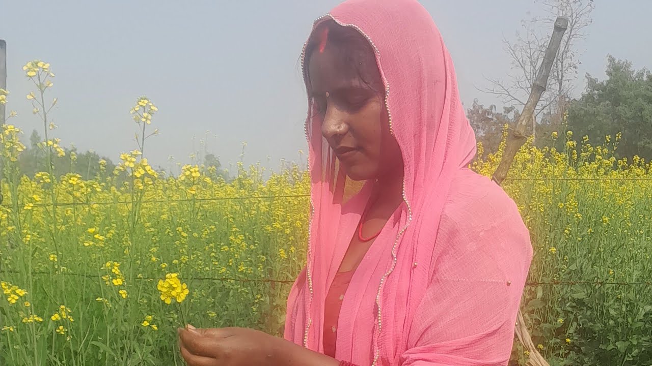 Sarika Comedy Vlog video  is live