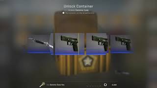 Opening Csgo Cases Til Gaben Senpai Notice Day23