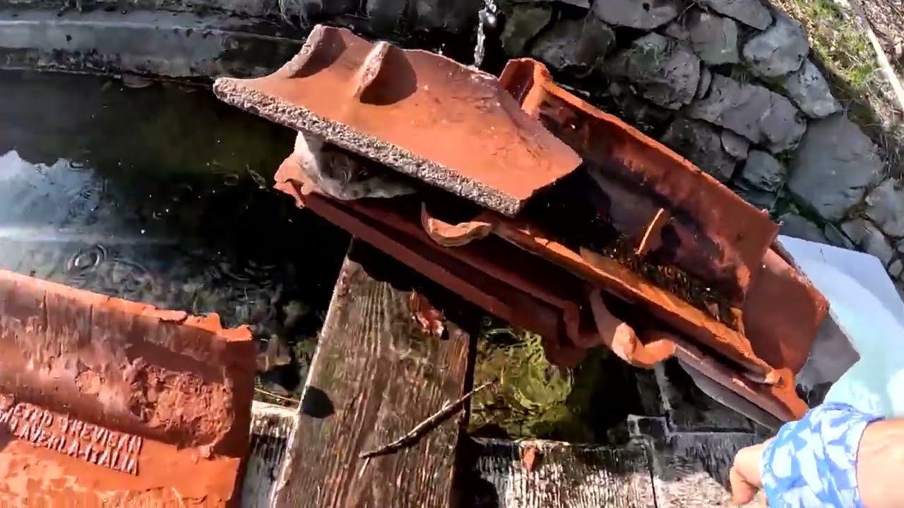 Percorso Alpago Sky 3 mini. (video Gopro)