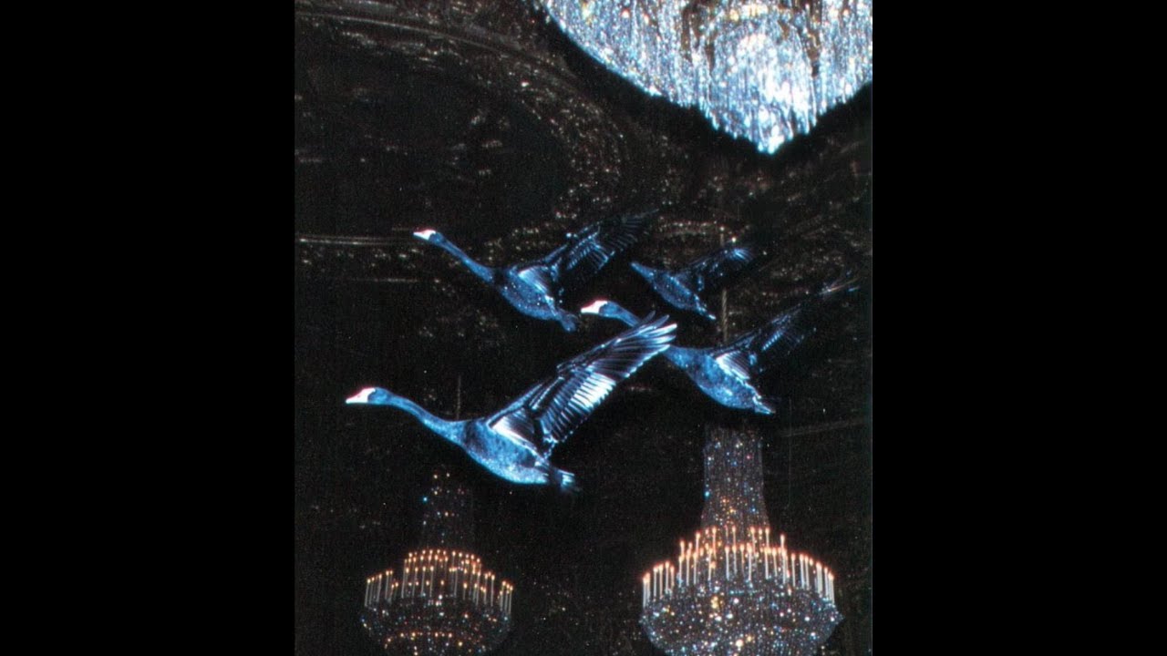 [free for profit] icytwat x lucki type beat - shoulder knees n toes