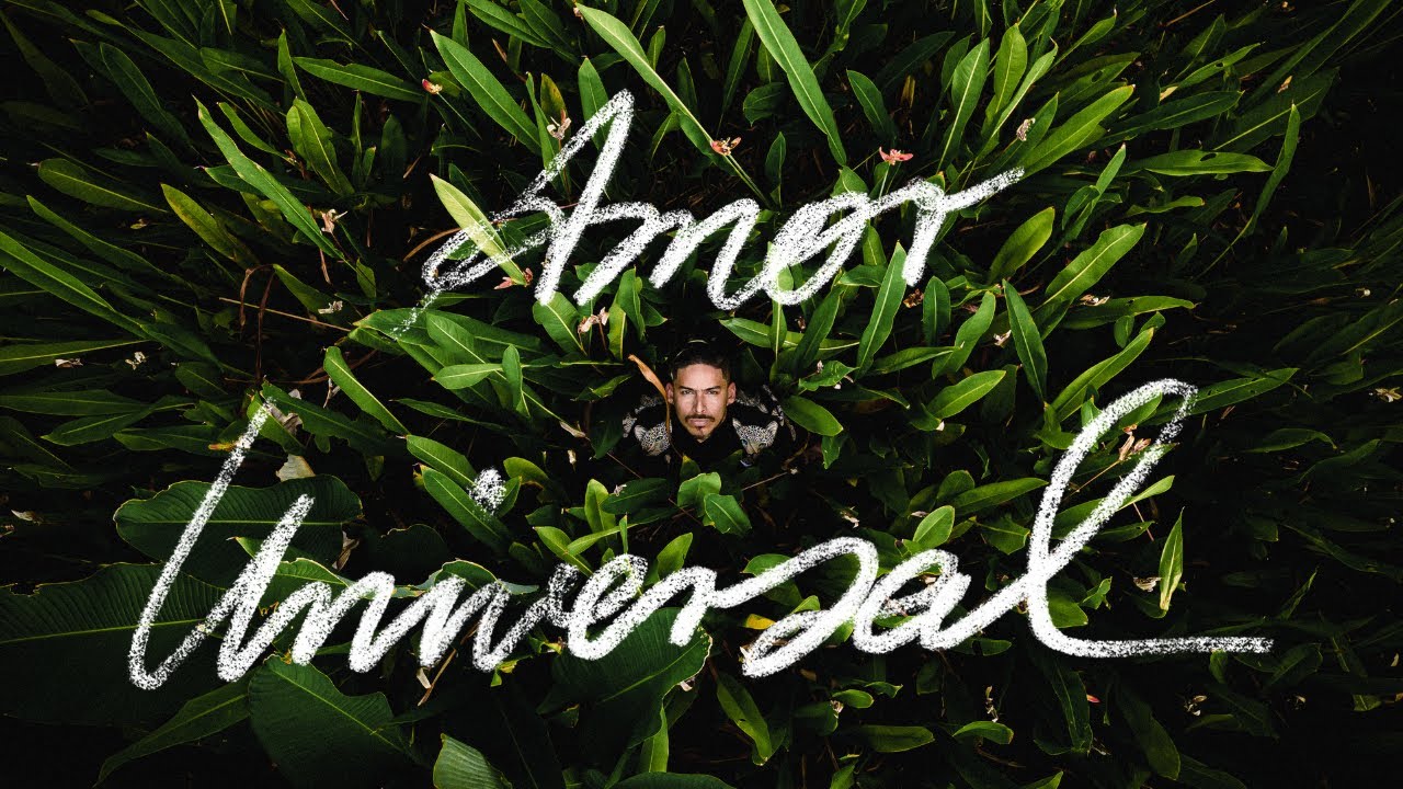 El Hijo del Búho - Amor Universal (video oficial)