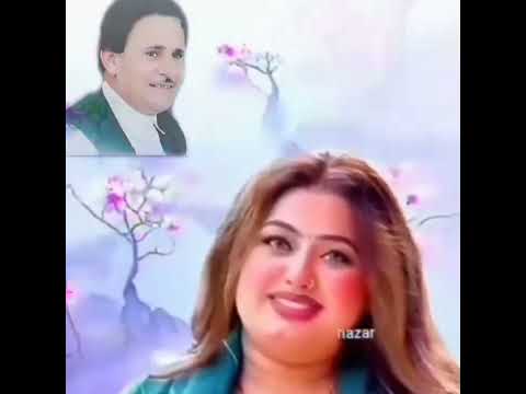 عطيه العزومى وهاله