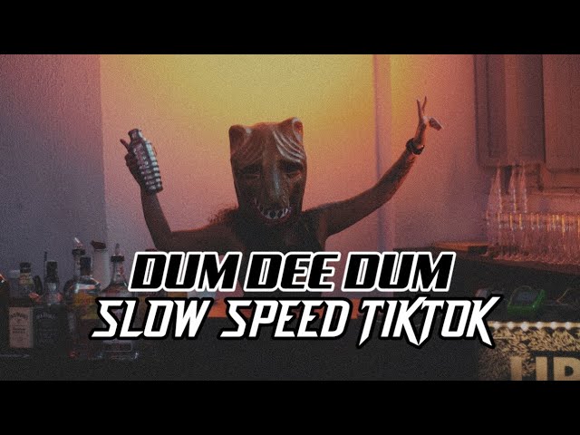 DJ Dum Dee Dum Slow Speed tiktok | Remix xdr class=