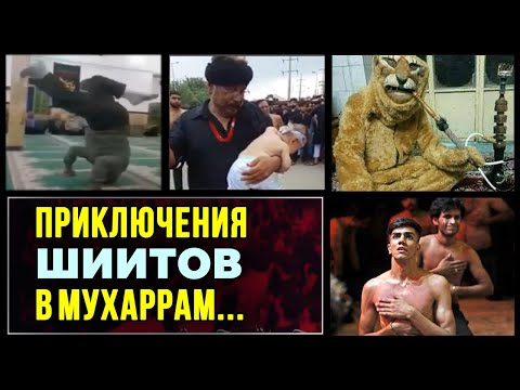 Шиитский лев, танцы, рэп, каскадёрство. Неужели это Ислам?!