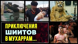 Шиитский лев, танцы, рэп, каскадёрство. Неужели это Ислам?!