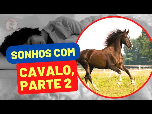 O que significa sonhar com cavalo? Interpretações - Blog Astrocentro