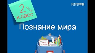 Познание мира. 2 класс. Значение природных условий в жизни человека /22.04.2021/