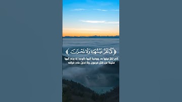 تلاوة من سورة القصص _ القارئ زياد محمد حامد