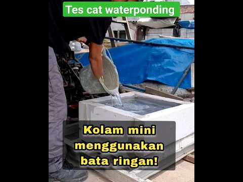 Video: Penggunaan Sampah Kolam Di Taman - Pengomposan Alga Dari Kolam