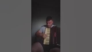 Manea la acordeon 2020