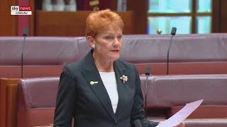 ‘I’m gobsmacked’: Pauline Hanson and Penny Wong face off over net zero targets