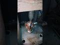 407 assembly making#shorts#ytshorts#cnc#lathe#machine#auto#automobile#contact no.9971059298🔩
