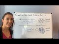 Groundwater Dynamics and the Water Table Explained