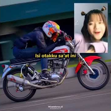 story wa anak herex cb gl mp Tiger terbaru