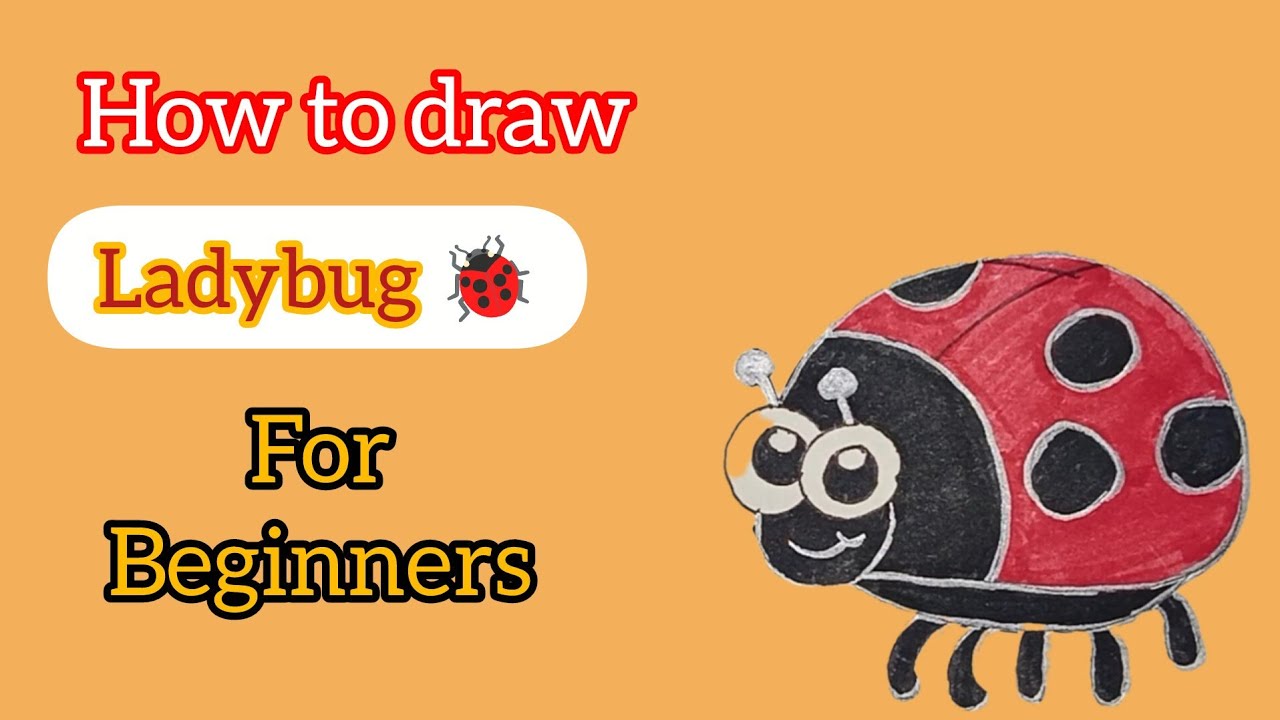 How to draw a cute lady bug easy step by step drawing 