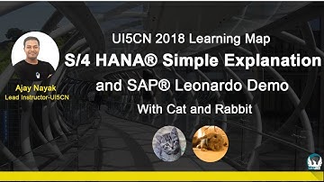 Learn in 49 min SAP® S/4 HANA® and SAP® Leonardo Machine Learning(ML) API