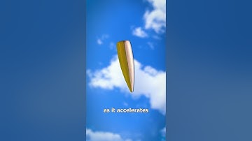 Shooting A Bullet Straight Up Into The Air 😳