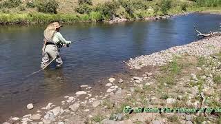 Fly Fishing the Conejos