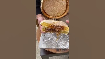 #islamicstatus #اكسبلور #قطر_الكويت_البحرين_عمان_السعودية_الامارات # #عبدالرحمن_مسعد_تلاوة_جديدة