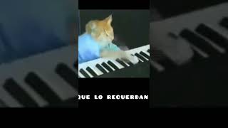 los que lo recuerdan...😭😢😢😭 #descansaenpazkeyboardcat #gatitolindo #piano