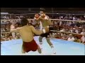 Edwin Rosario Knockouts HD