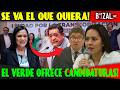 PARTIDO VERDE HACE DE LAS SUYAS, QUIERE A SALGADO Y SAÚL COMO CANDIDATOS A GOBERNADORES!