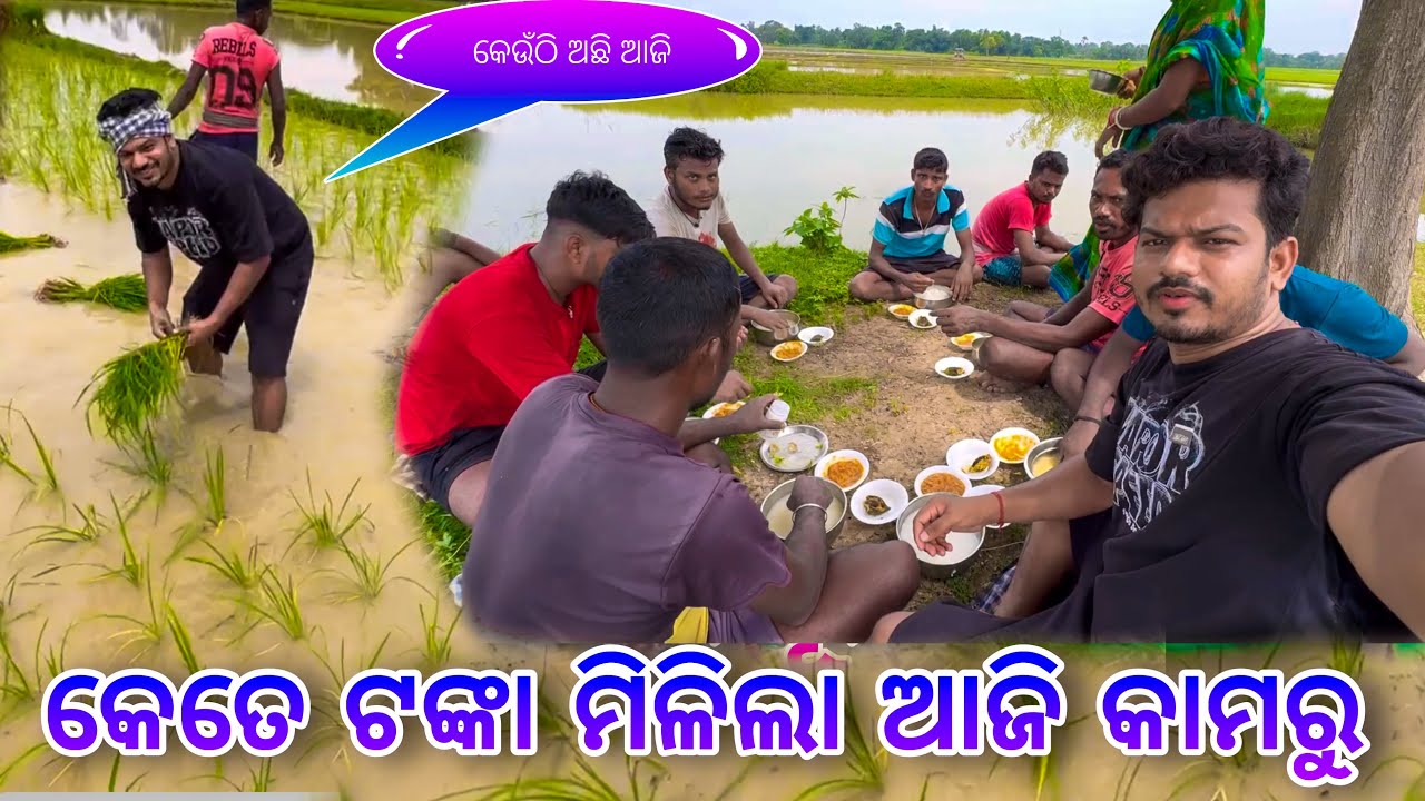କେତେ ଟଙ୍କା ମିଳିଲା ଆଜି କାମରୁ / Rupa Pin2 Khushi