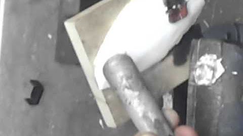 THE LEAKS!!! CUTTLEBONE CASTING PART:3