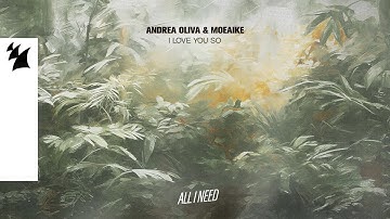 Andrea Oliva & Moeaike - I Love You So (Official Visualizer)