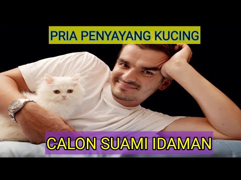 Video: Pria terkenal yang menyukai kucing
