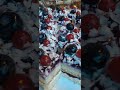 Mouth watering Black Forest Cake #dessert #cake #shorts #viral #video #satisfying #satisfyingvideo