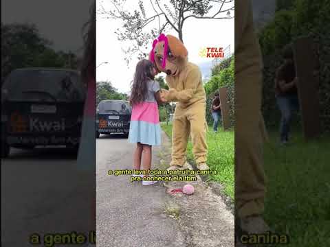 Thumbnail do vídeo