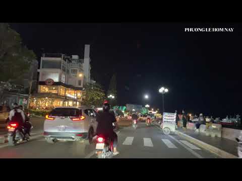 ks hoa phượng đỏ vũng tàu 2022 biển Vũng Tàu về đêm | đường quang trung, hạ long, ks Mường Thanh |Vung Tau beach by night