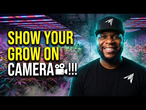 Show Your Grow On Camera with LIVE GIVEAWAYS - Sunday Show EP10