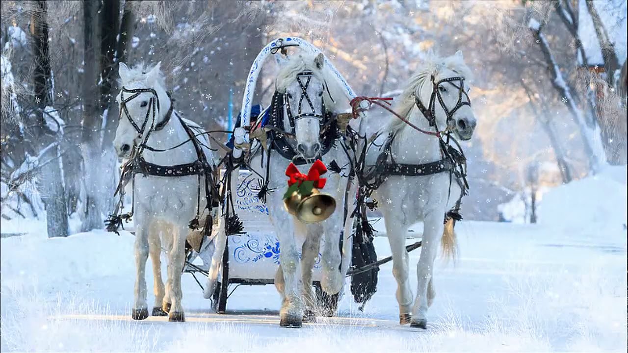 Тройка зимних лошадей. Тройка лошадей зимой. Тройка белых лошадей. Лошадь в упряжке. Русская тройка.