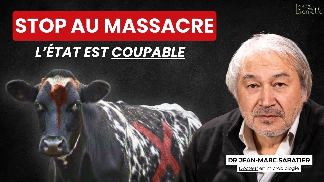 Abattage massif de bovins en Ariège : Jean-Marc Sabatier brise le silence