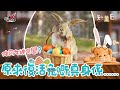 【節目重溫】復活兔原本唔係兔🐰？仲要同女神有關！｜《知薰E》