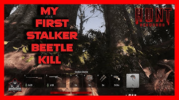My First Stalker Beetle Kill | Hunt: Showdown